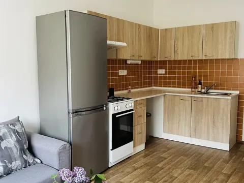 Pronájem bytu 2+kk, Praha - Žižkov, Žerotínova, 45 m2