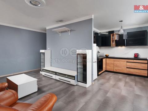 Prodej bytu 2+1, Teplice, Alejní, 47 m2