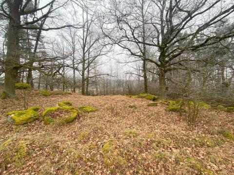 Prodej pole, Slatina, 21641 m2