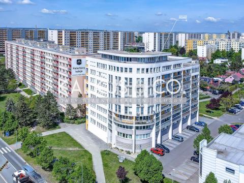 Prodej bytu 1+kk, Hradec Králové - Nový Hradec Králové, Palachova, 41 m2