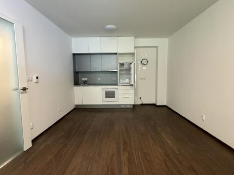 Pronájem bytu 1+kk, Písek - Budějovické Předměstí, Pod Horami, 34 m2