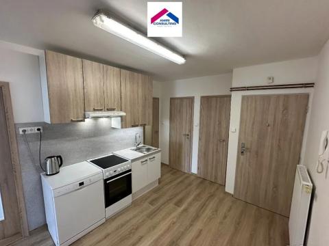 Pronájem bytu 2+1, Brno, Sládkova, 56 m2