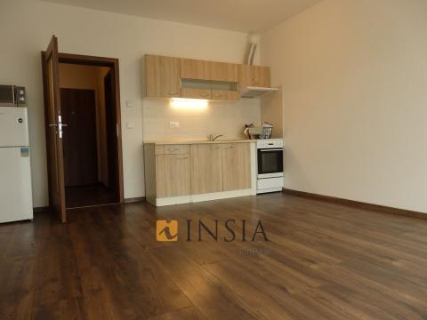 Pronájem bytu 1+kk, Beroun - Beroun-Město, U Archivu, 24 m2