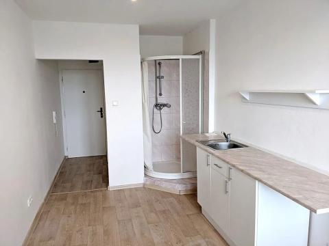 Pronájem bytu 1+kk, Opava, Haškova, 18 m2