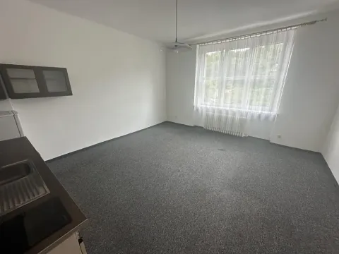 Pronájem bytu 1+kk, Praha - Michle, Nuselská, 35 m2