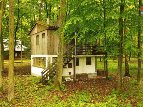 Prodej chaty, Třebechovice pod Orebem - Štěnkov, 37 m2