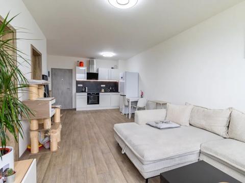 Pronájem bytu 2+kk, Mladá Boleslav, 52 m2