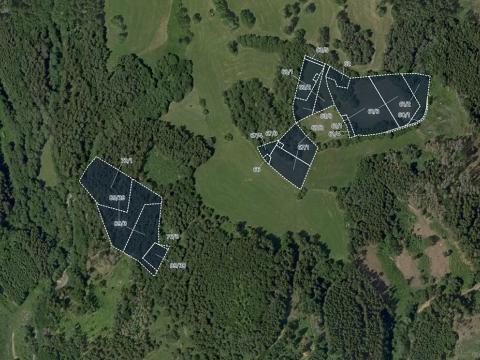 Prodej louky, Chlum-Korouhvice, 42835 m2