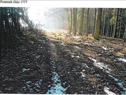Prodej lesa, Tis, 1213 m2