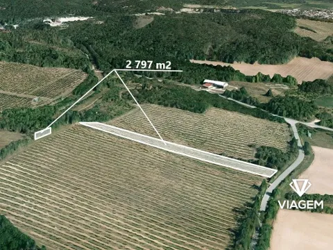 Prodej podílu pole, Olbramovice, 699 m2