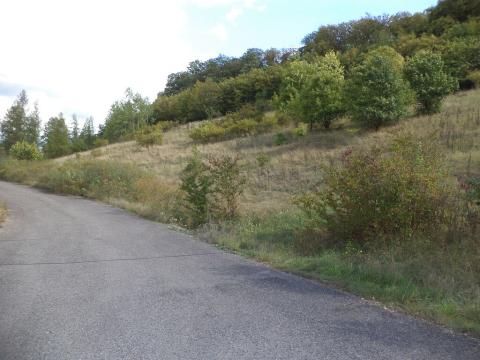 Prodej pole, Řehlovice - Stadice, 44884 m2