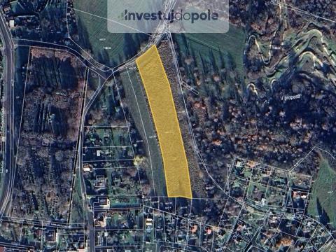 Prodej pole, Kosmonosy, Pod koupalištěm, 4547 m2