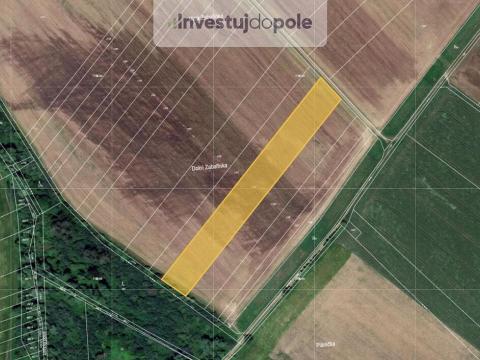 Prodej pole, Počenice-Tetětice - Počenice, 3619 m2
