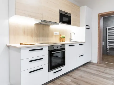 Pronájem bytu 1+kk, Brno, Boženy Němcové, 27 m2