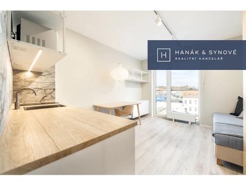 Pronájem bytu 1+kk, Brno, Chaloupkova, 22 m2