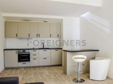 Pronájem bytu 2+kk, Brno, Košuličova, 53 m2