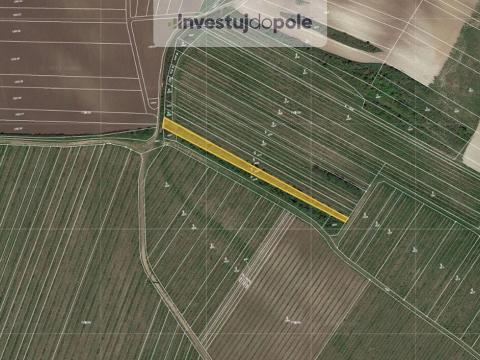 Prodej pozemku, Starovičky, 1328 m2