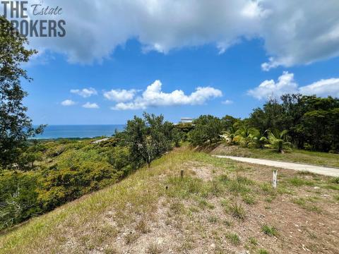 Prodej pozemku, Coxen Hole, Roatán, Honduras, 740 m2