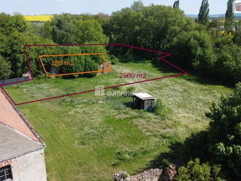 Prodej zahrady, Kolešovice, 2500 m2
