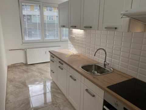 Pronájem bytu 1+1, Český Krumlov - Plešivec, Sídliště Plešivec, 42 m2