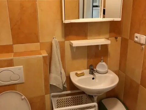 Pronájem bytu 1+kk, Černolice, Hlavní, 30 m2