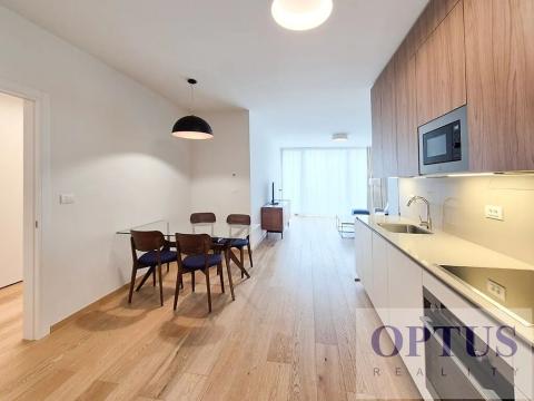 Pronájem bytu 2+kk, Praha - Smíchov, Holečkova, 76 m2