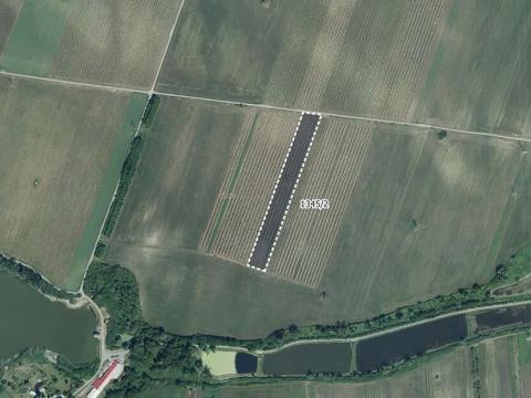 Prodej sadu/vinice, Sedlec, 10059 m2