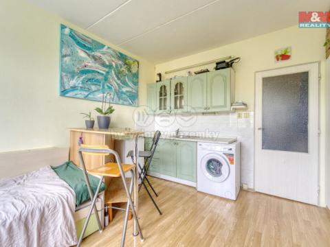 Pronájem bytu 1+kk, Plzeň - Doubravka, Popelnicová, 20 m2