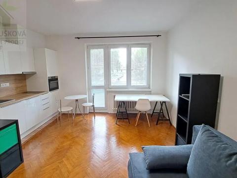 Pronájem bytu 1+kk, Ostrava, Podroužkova, 22 m2