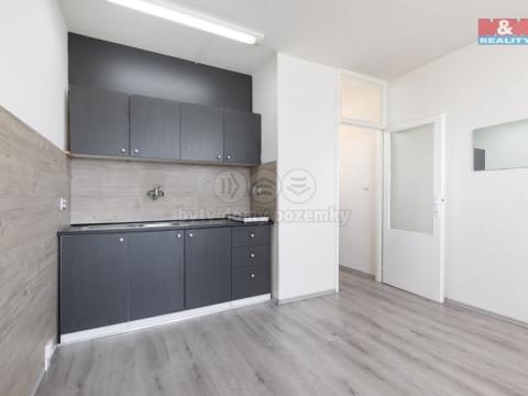 Prodej bytu 1+kk, Ostrava - Moravská Ostrava, U Parku, 25 m2