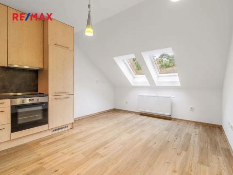 Pronájem bytu 2+kk, Plzeň, 28. října, 47 m2