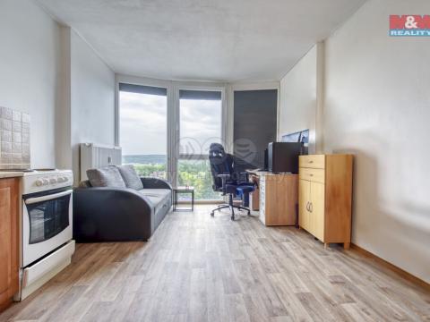 Pronájem bytu 1+kk, Plzeň, Klatovská, 25 m2