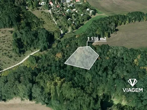 Prodej podílu lesa, Vráž, 768 m2