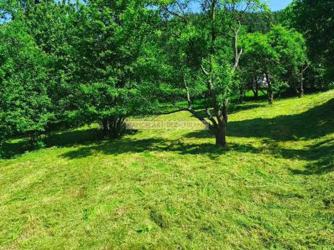 Prodej pozemku pro bydlení, Střílky, Koryčanská, 2889 m2