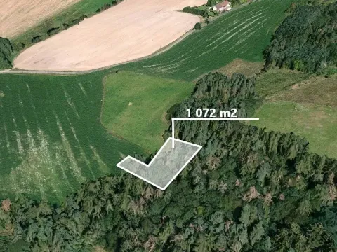 Prodej lesa, Kbel, 1072 m2