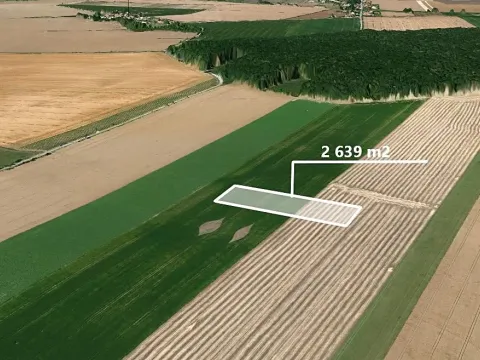 Prodej podílu pole, Lužec nad Cidlinou, 439 m2