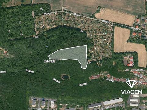 Prodej lesa, Praha - Bohnice, 13833 m2