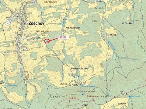 Dražba lesa, Zděchov, 1051 m2