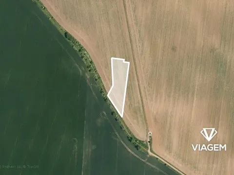Prodej pole, Vinařice, 2917 m2