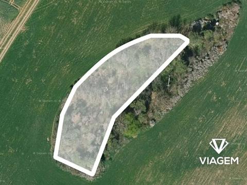 Prodej podílu lesa, Kropáčova Vrutice, 2801 m2
