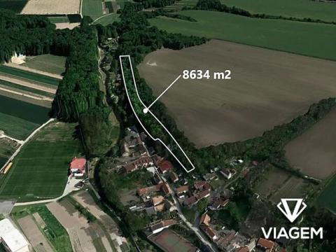 Prodej lesa, Brozany nad Ohří, 8634 m2