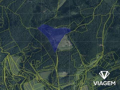 Prodej lesa, Všemina, 21200 m2