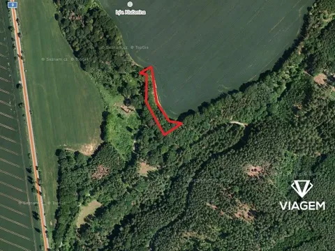 Prodej podílu lesa, Vrchovany, 991 m2