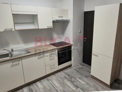 Pronájem bytu 2+1, Srnín, 55 m2