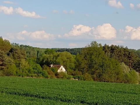 Prodej pozemku pro bydlení, Květov, 3616 m2