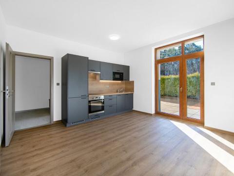 Pronájem bytu 1+kk, Zruč-Senec - Zruč, Sportovní, 66 m2