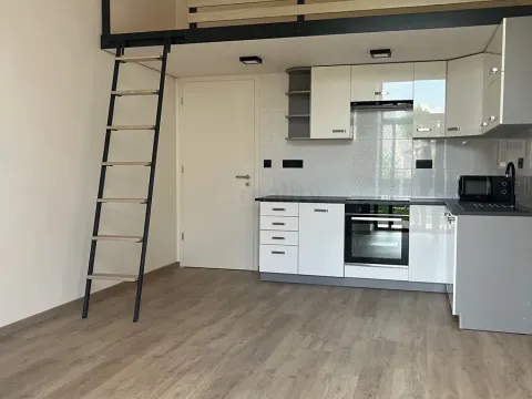 Pronájem bytu 2+kk, Šternberk, Uničovská, 100 m2