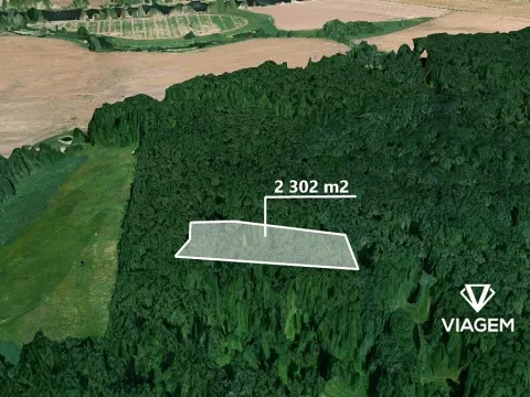 Prodej lesa, Přerov nad Labem, 2302 m2