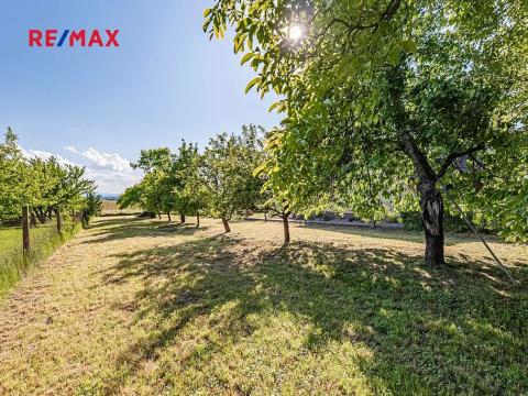 Prodej pozemku pro bydlení, Pleše, 924 m2