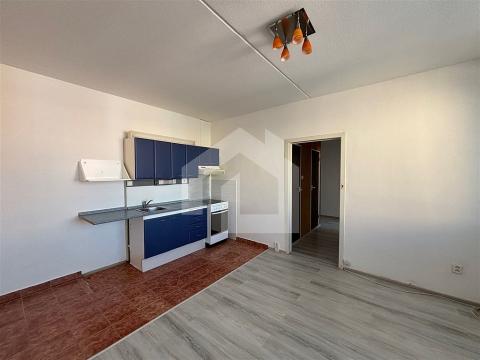 Pronájem bytu 2+kk, České Budějovice - České Budějovice 2, N. Frýda, 42 m2